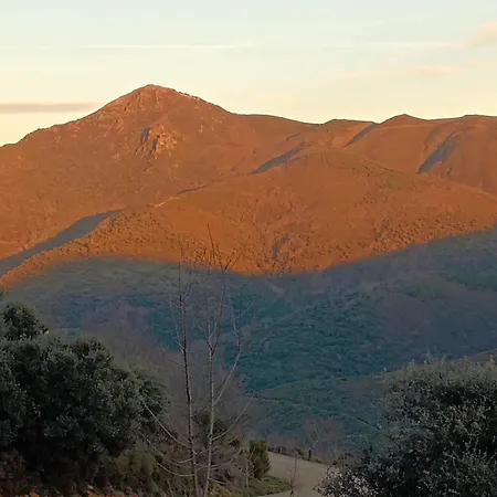 San Vicente * Borrenes